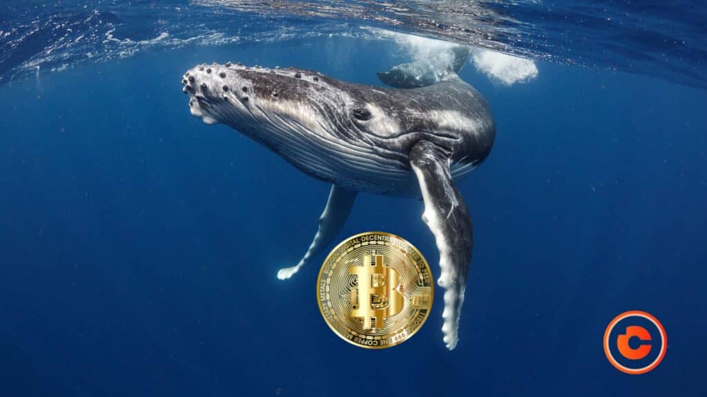 bitcoin crypto baleine
