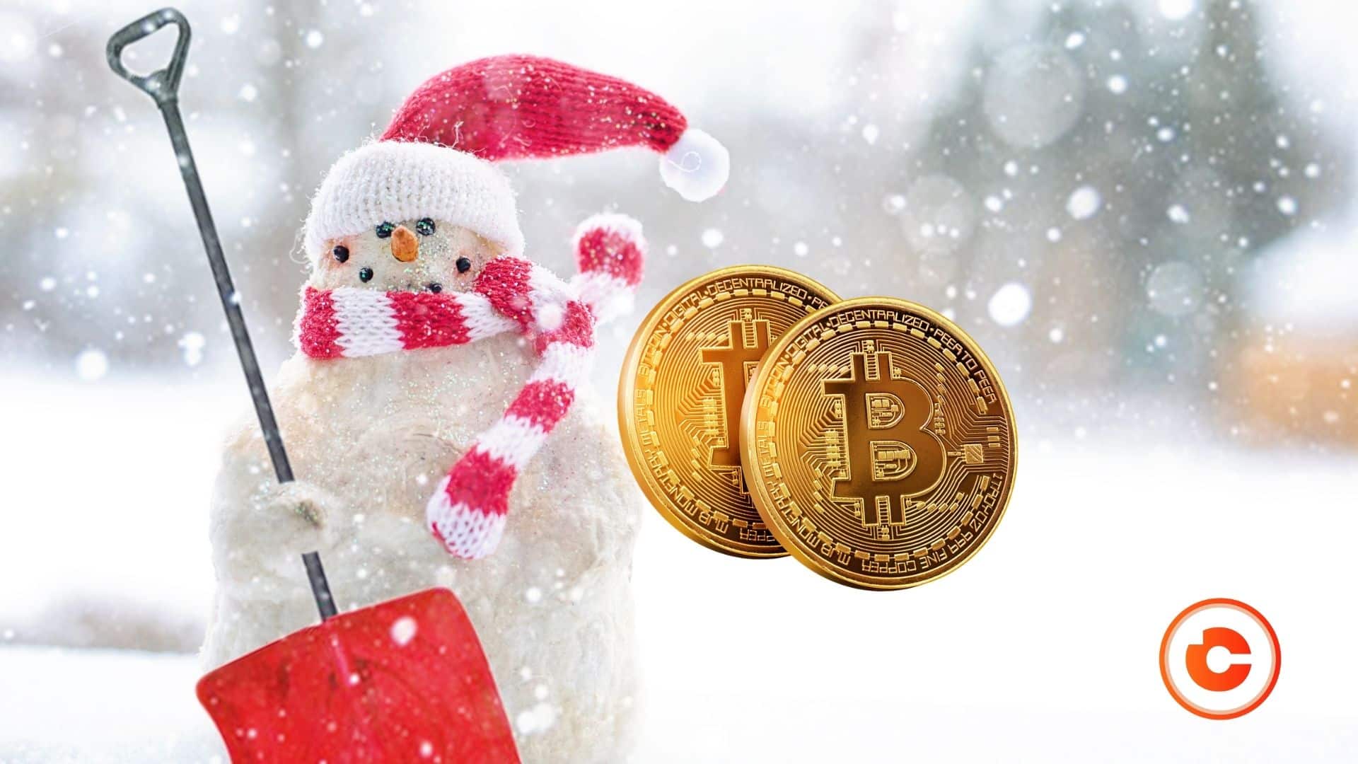 hiver crypto