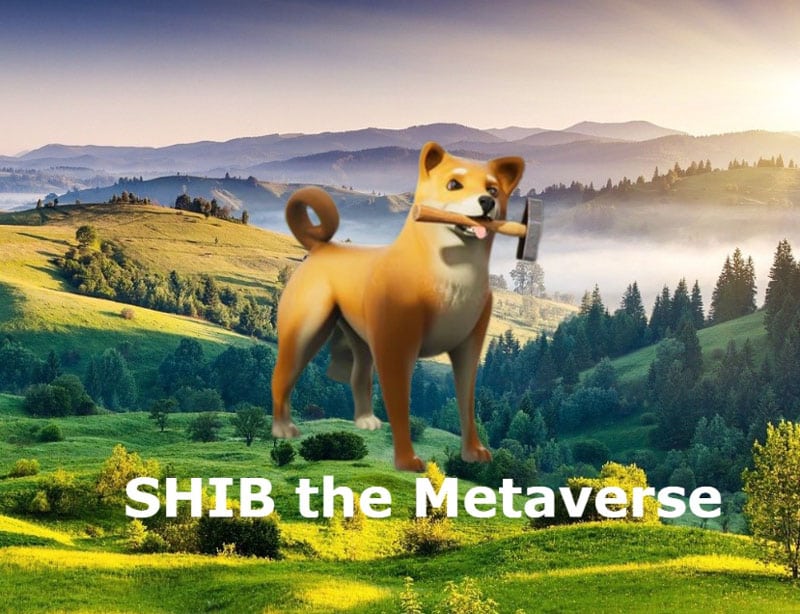 Shib The Metaverse, conception par The Third Floor