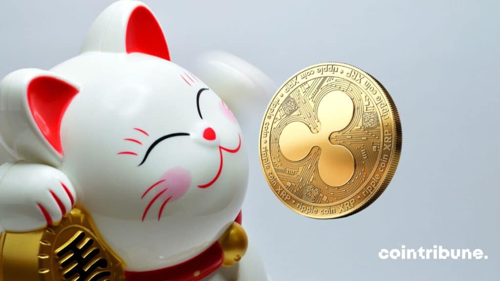 ripple japon