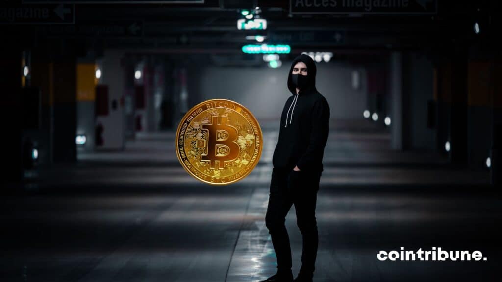 wladimir van laan bitcoin