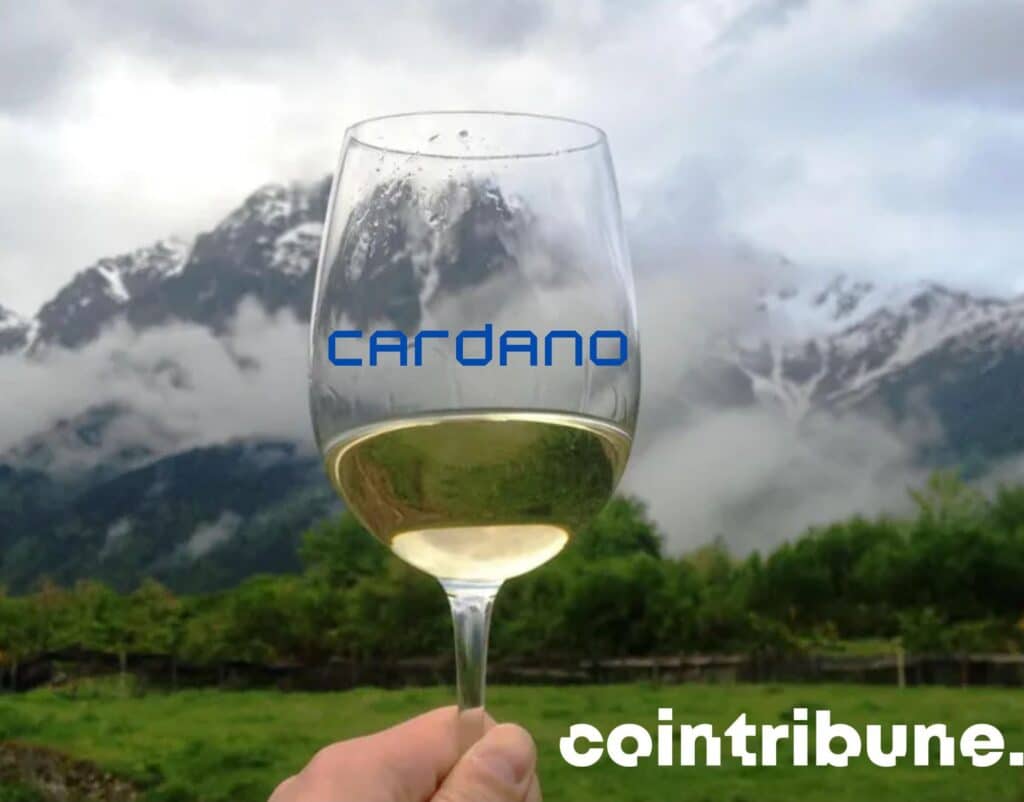 La Fondation Cardano (ADA) porte un toast pour le vin géorgien !