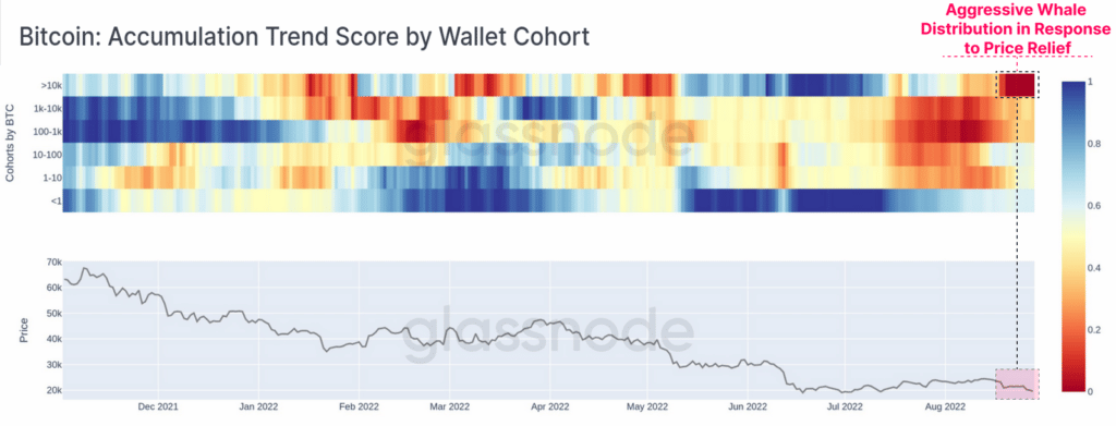 accumulation trend bitcoin