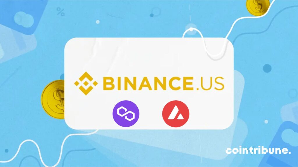 binance polygon avalanche