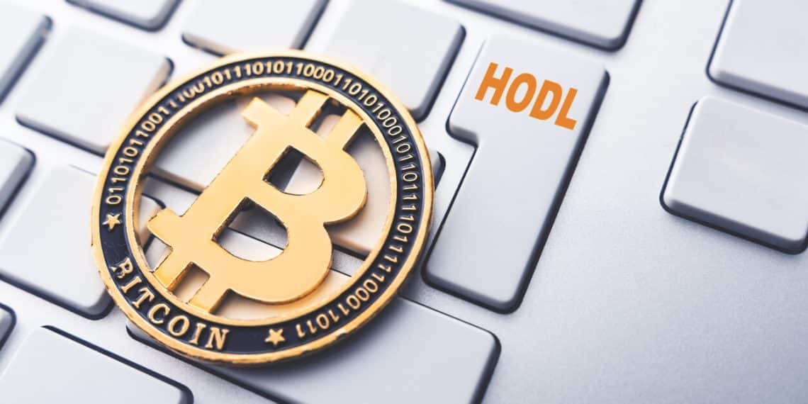 Bitcoin (BTC) : Près d’1 million de hodlers espèrent un « bull run »