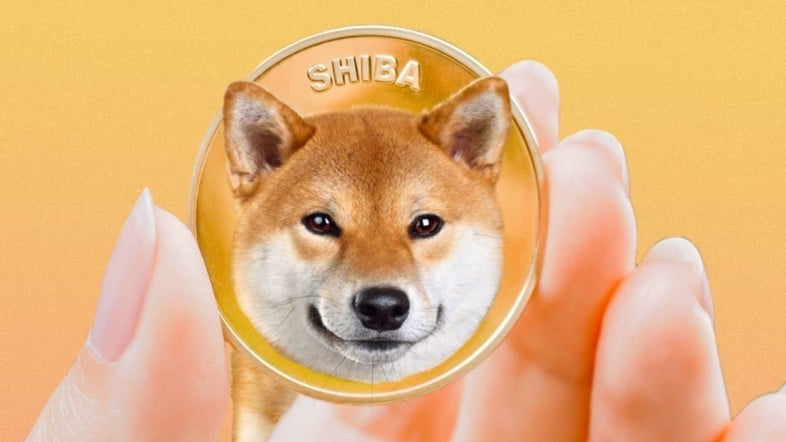 Crypto: Shiba Inu (SHIB) is a hit on CoinGate