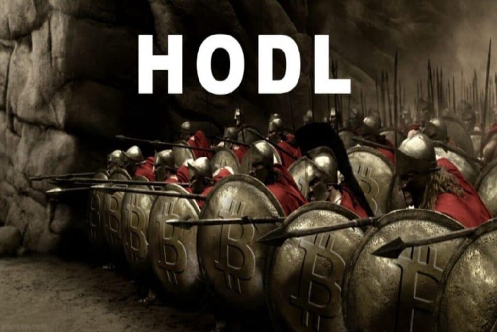 bitcoin-hodlers