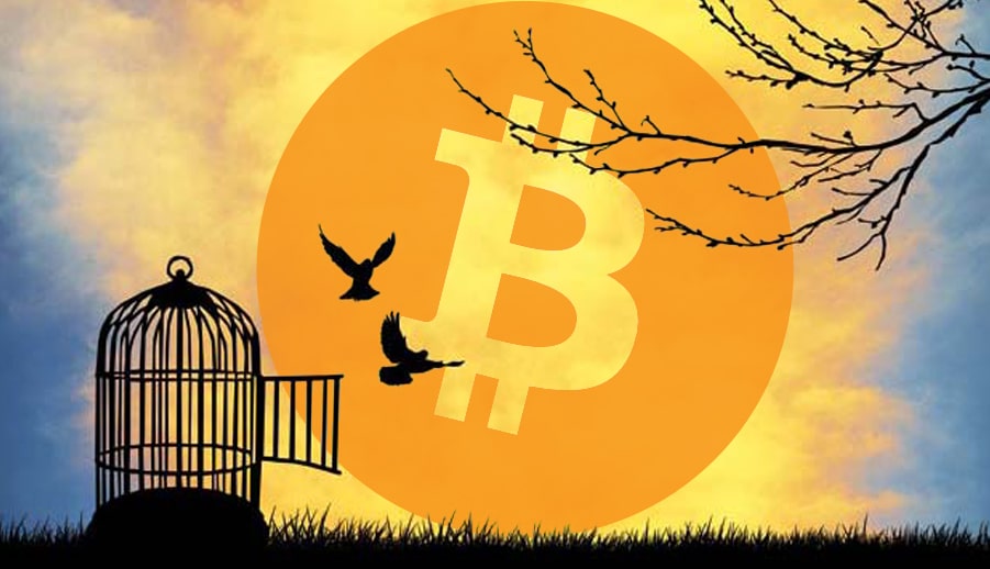 Des oiseaux s'échappent d'une cage, une lune bitcoin orange en fond.