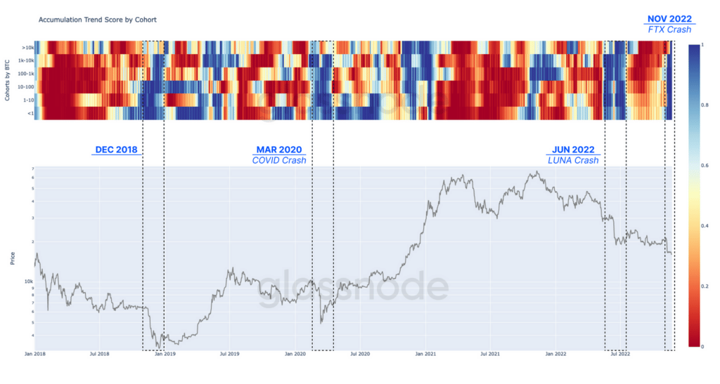 accumulation trend score bitcoin