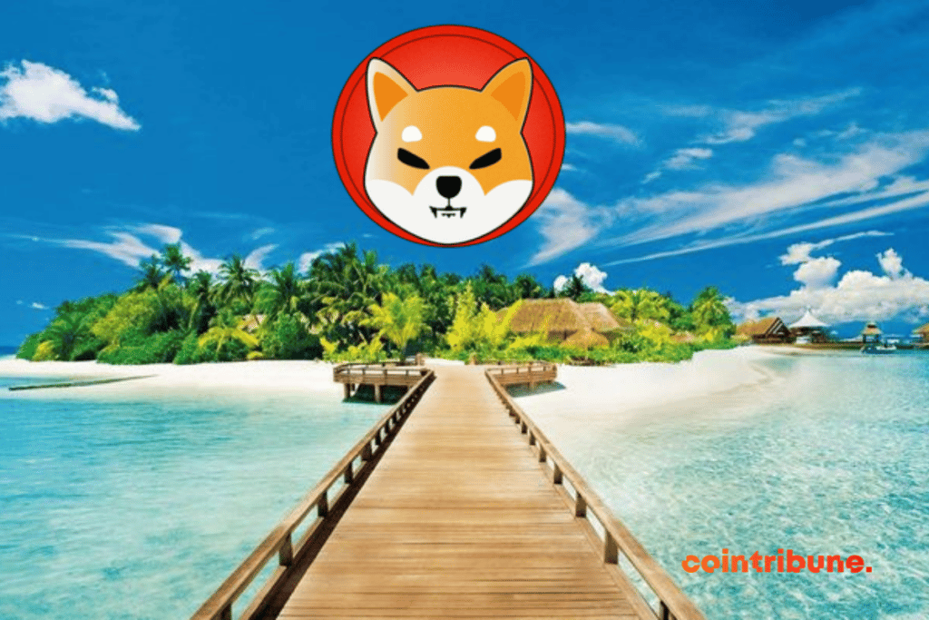 Visiter Phu Quoc au Vietnam avec du Shiba Inu