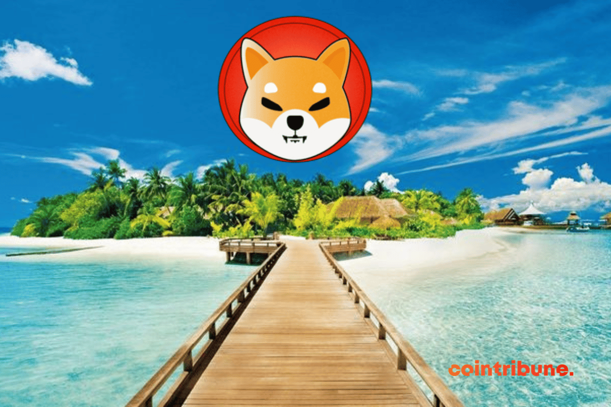 Visiter Phu Quoc au Vietnam avec du Shiba Inu