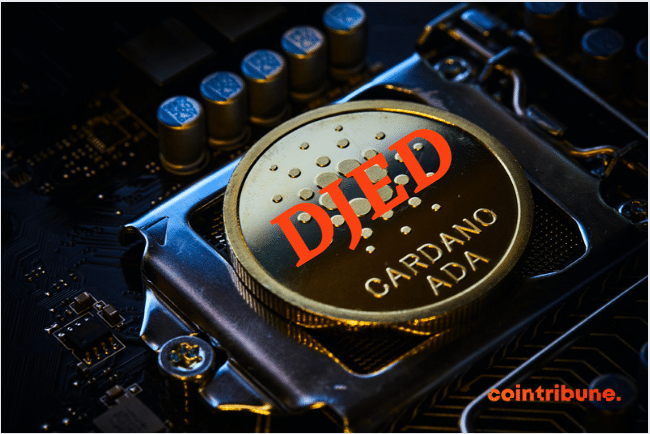 Djed : le stablecoin de Cardano (ADA) suscite des réactions positives