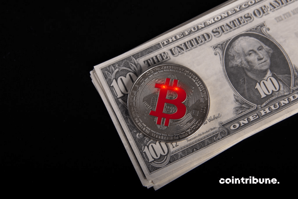dollar Bitcoin BTC paiement