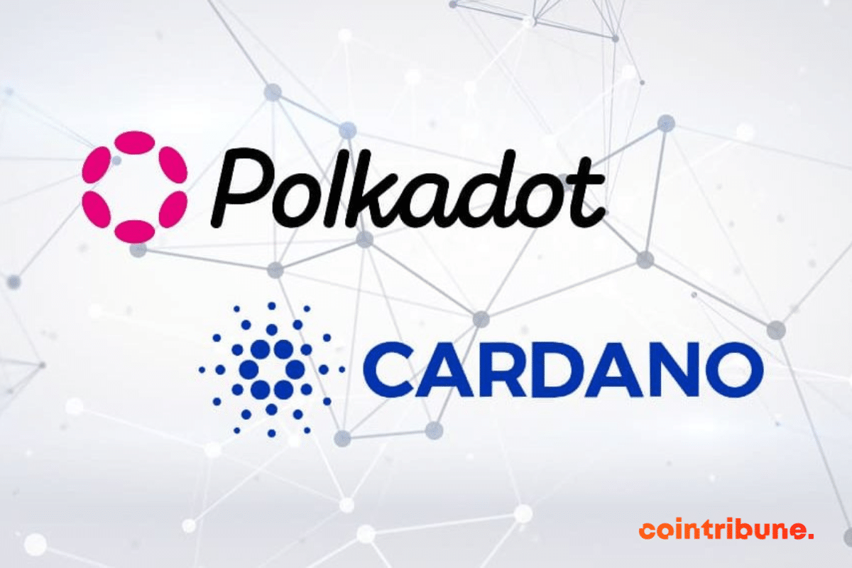 image du reseau blockchain Polkadot et CARDANO