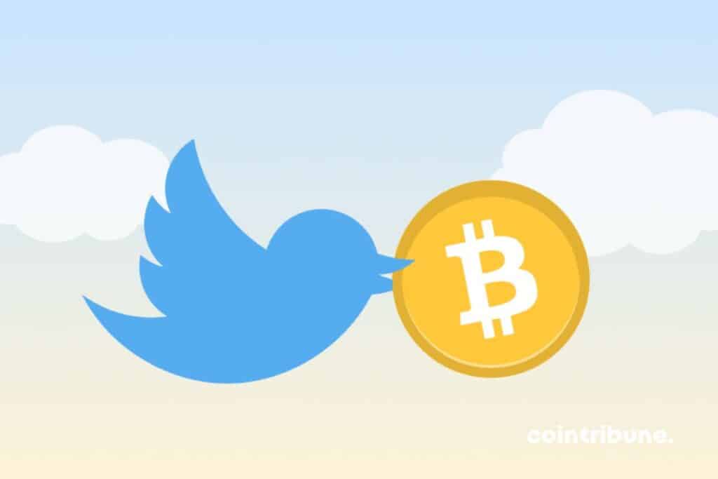 Twitter plateforme de paiement