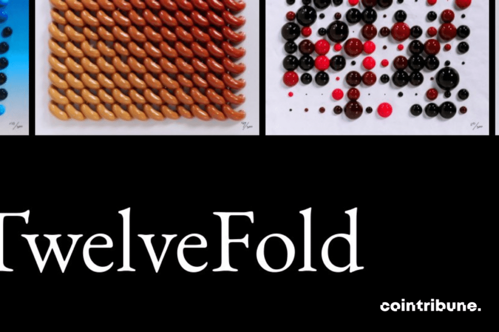 NFT Bitcoin, TwelveFold