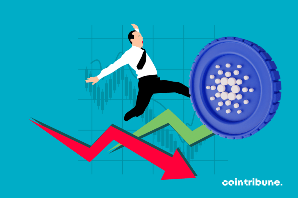 Investisseurs Cardano dans le rouge