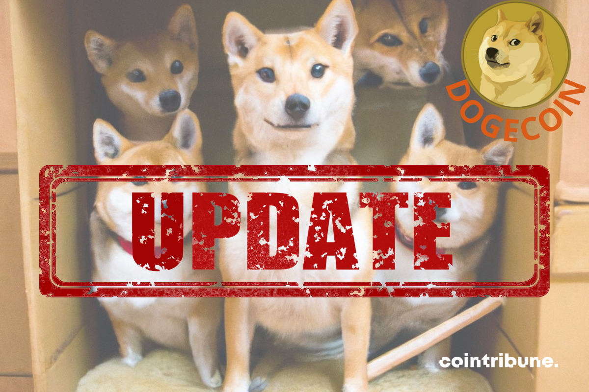 Les détails de la mise à jour du bloc de construction Dogecoin