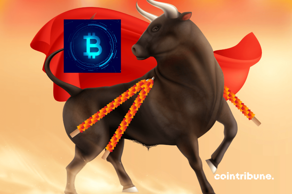 Le PDG de One River confirme le début du Bull run crypto