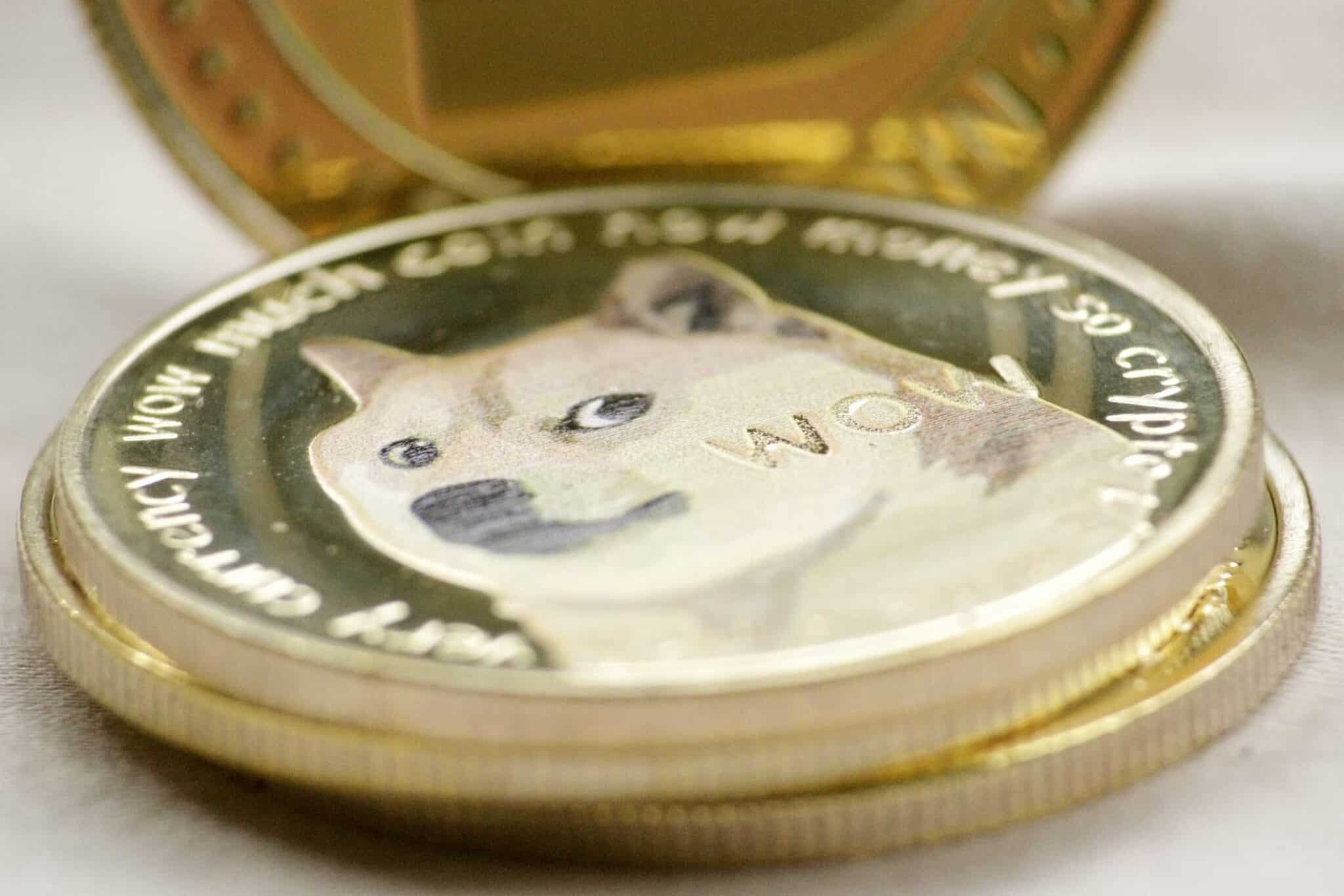 Plusieurs coins Shiba Inu empilés