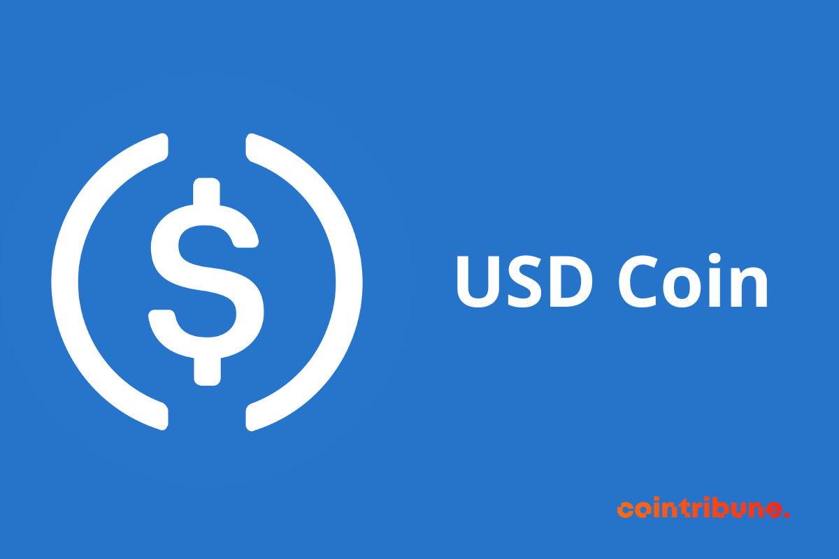 Le logo du stablecoin USDC