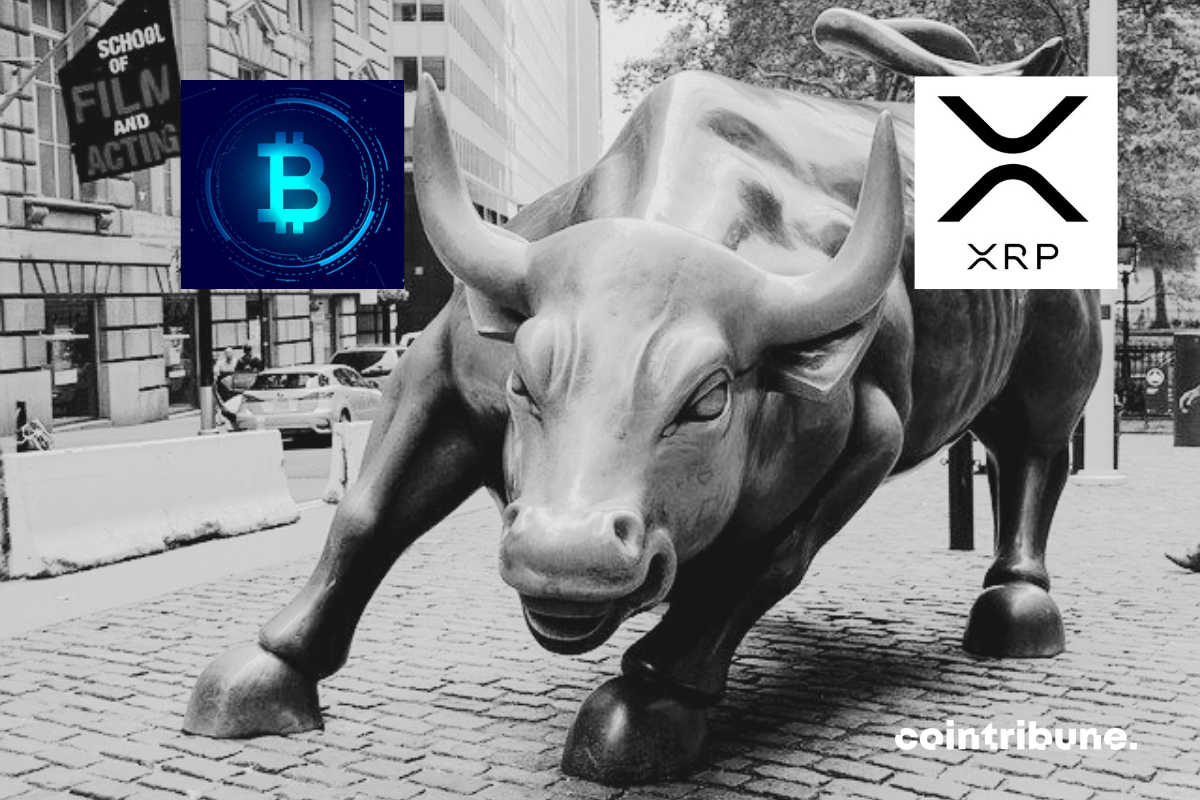 bull-hausse-bitcoin-xrp