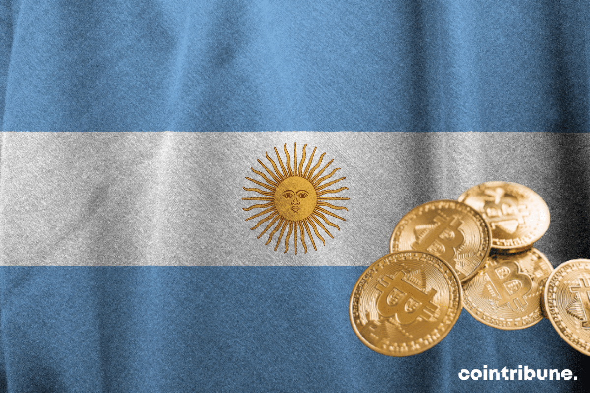 Un drapeau argentin avec des pièces de bitcoin