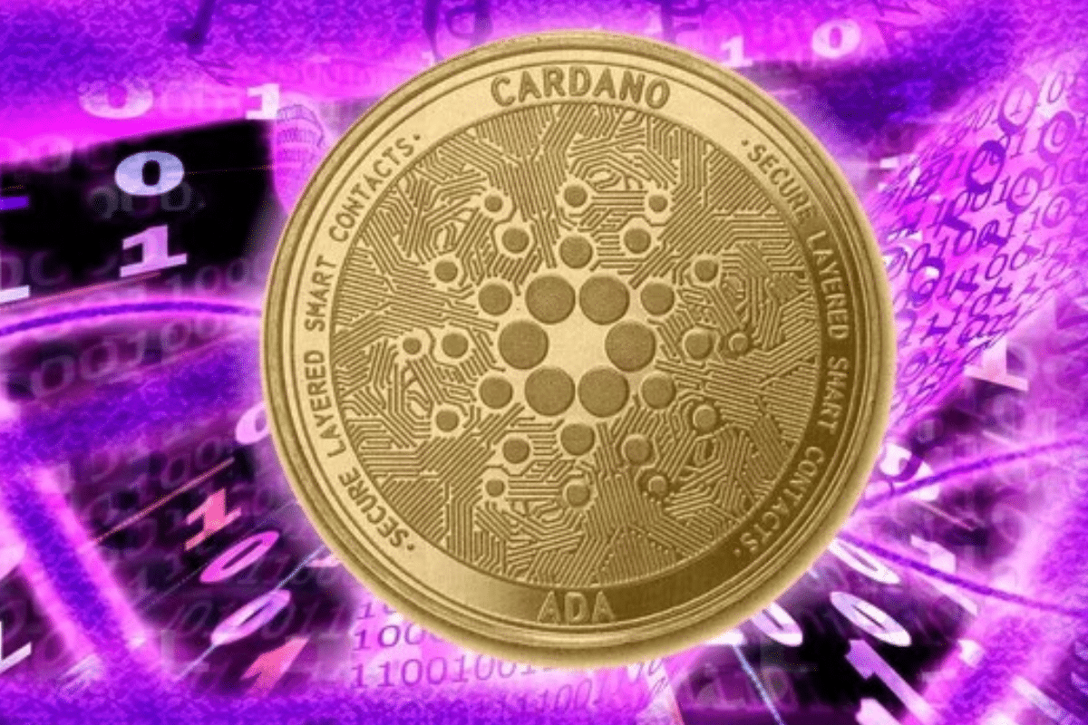 Cardano continue d'impresionner