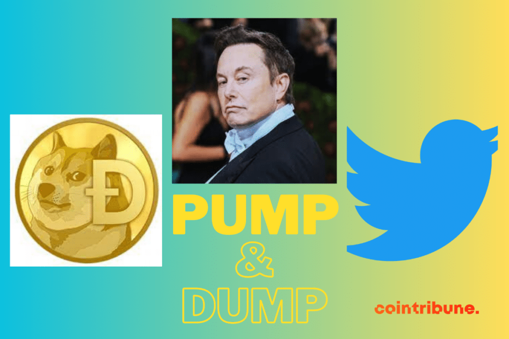 Une photo d'Elon Musk, d'un dogecoin et le logo Twitter.