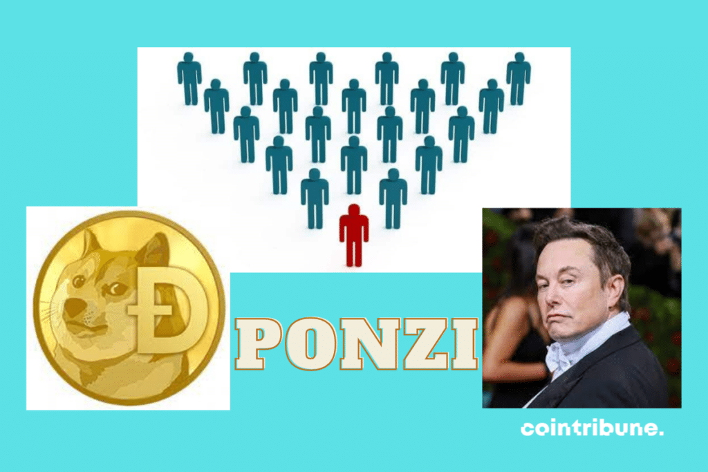 Elon-musk-accuse-ponzi-dogecoin