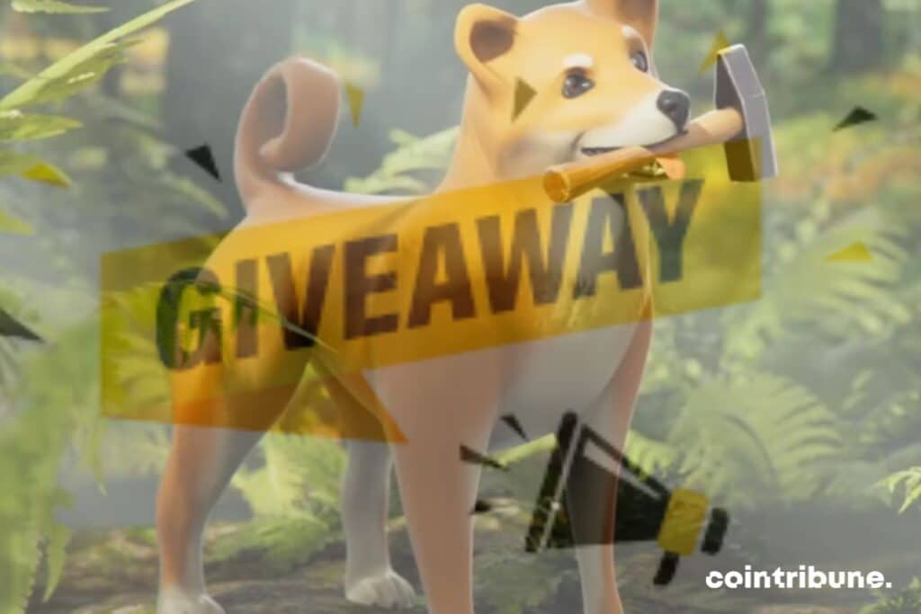 Metaverse Shiba Inu : Giveaway de terrains !