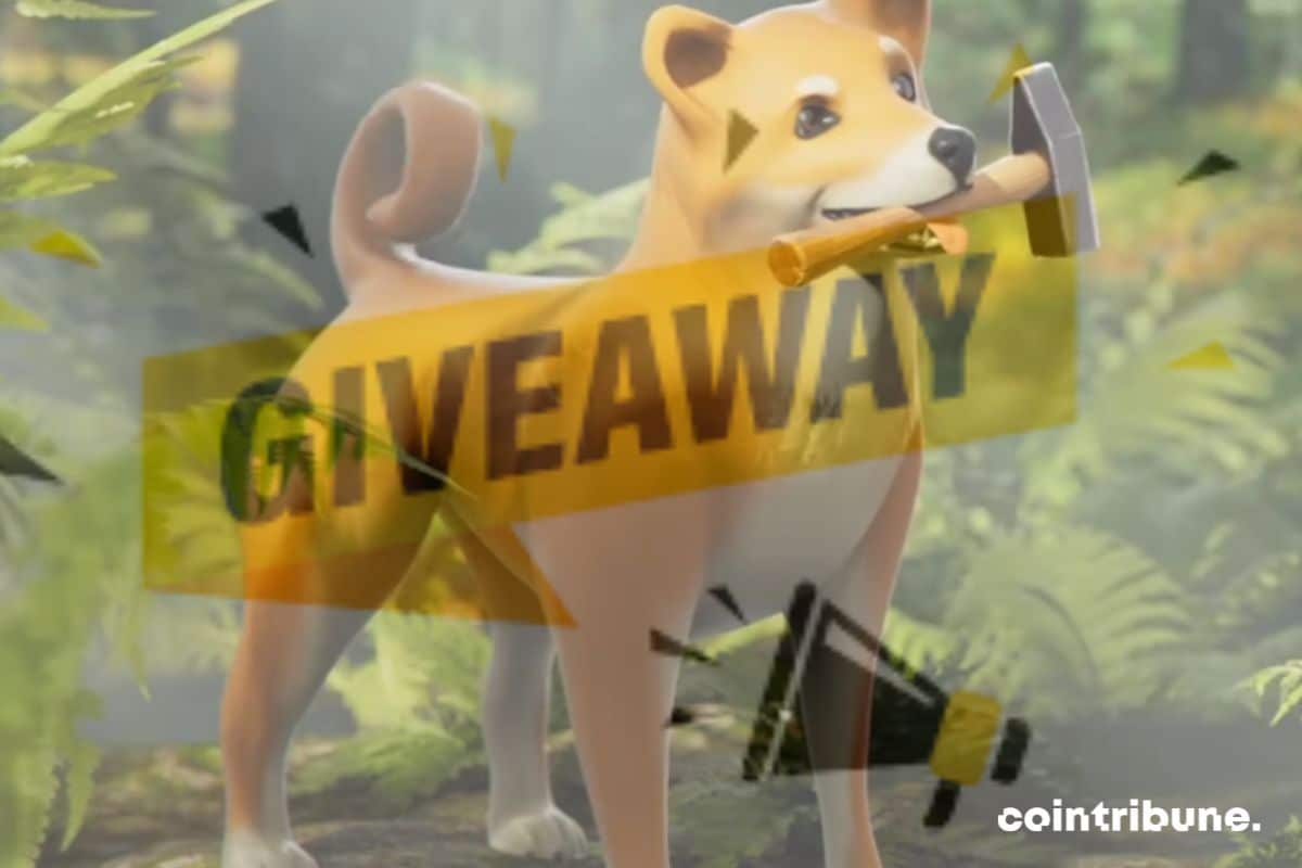 Metaverse Shiba Inu : Giveaway de terrains !