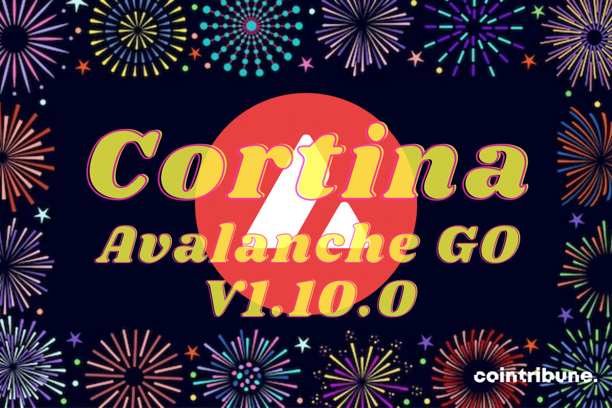 Logo d'Avalenche avec la mention Cortina Avalanche GO V1.10.0