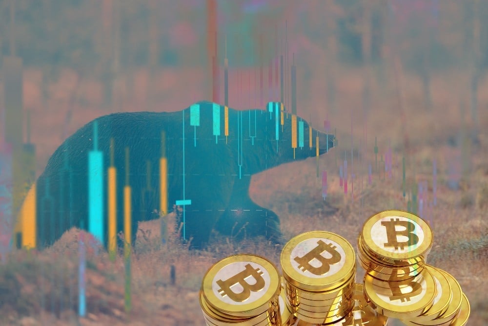 Bitcoin bear market