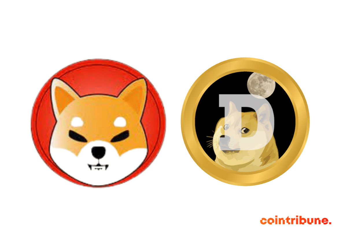 Les logo de Shiba Inu et de Dogecoin