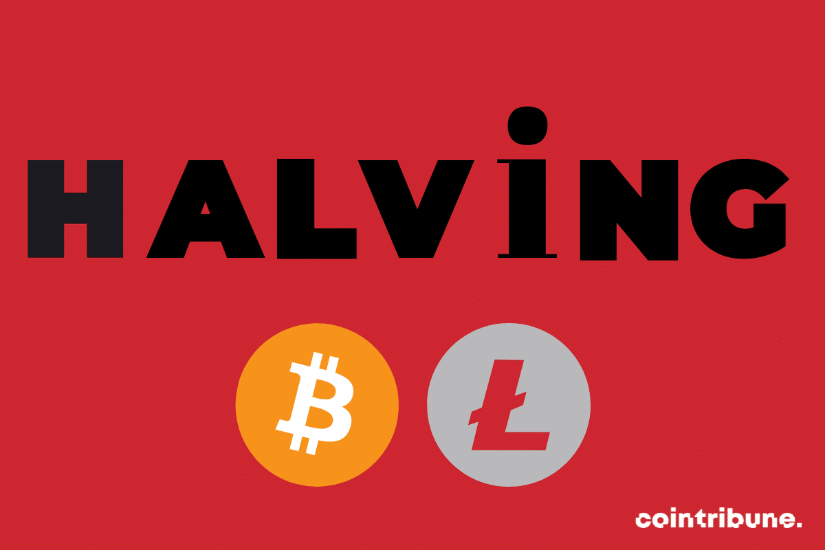 2023 Forecast for halving Bitcoin and Litecoin