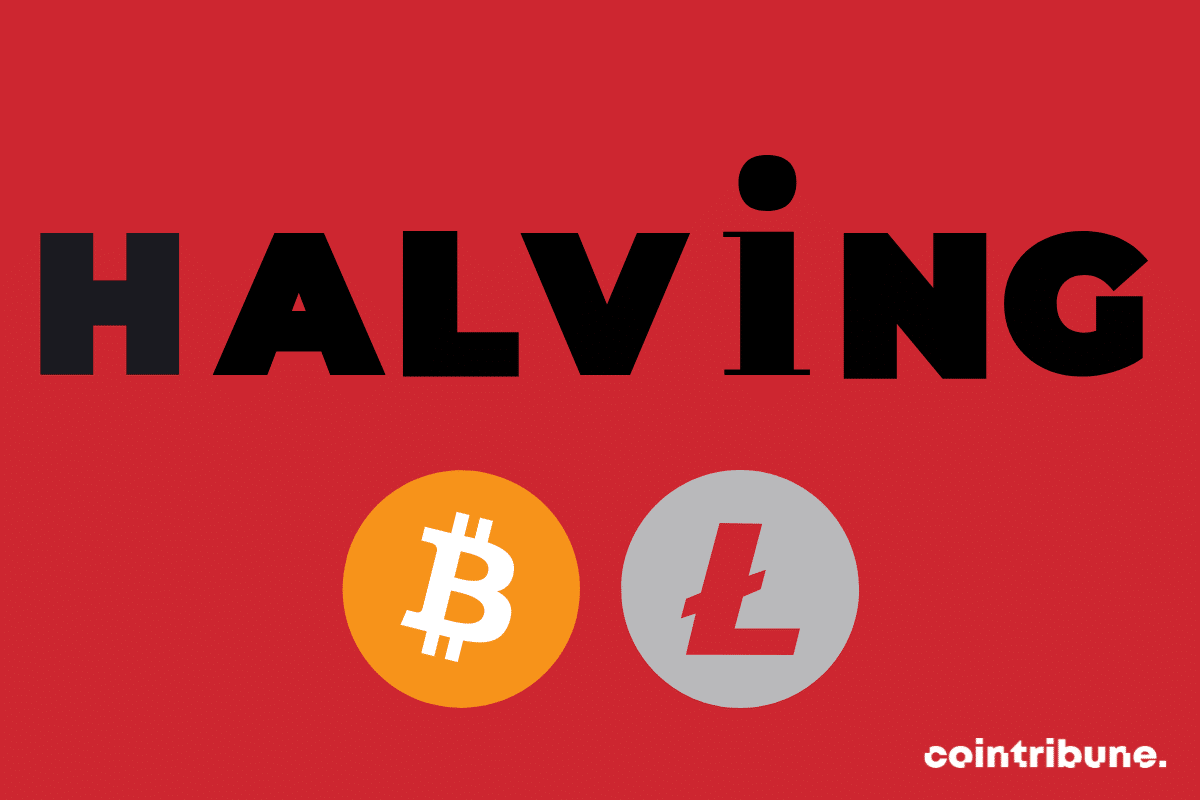 Prévisions 2023 pour halving Bitcoin et Litecoin