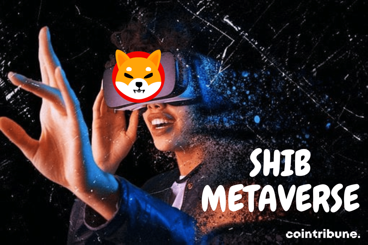 Hollywood's craze for the Shib Metaverse.