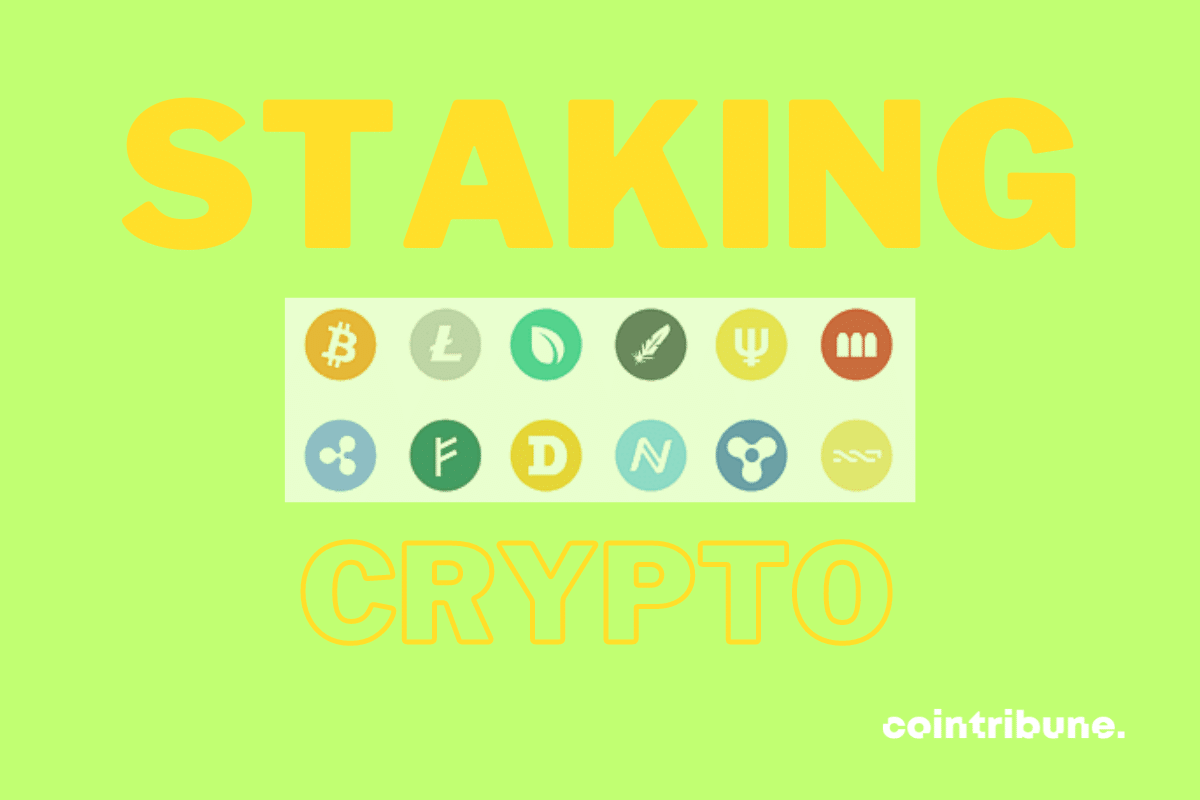 staking-crypto-problèmes