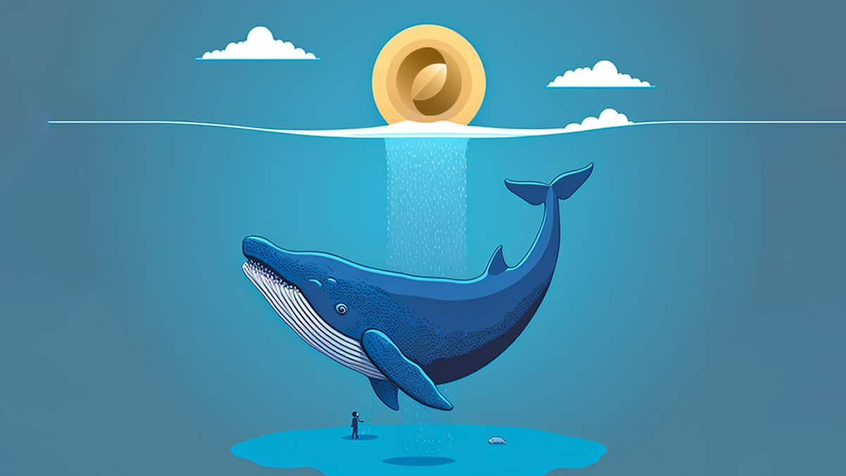Illustration d'une baleine avec le logo Ecoterra en surface.