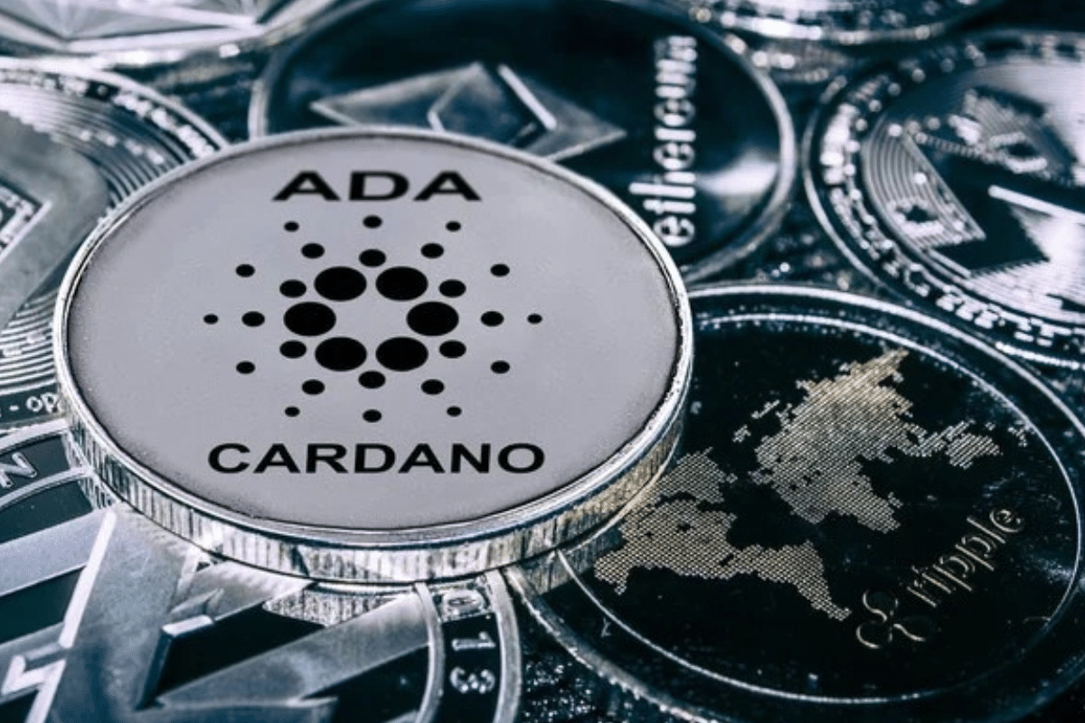 Pièces Cardano