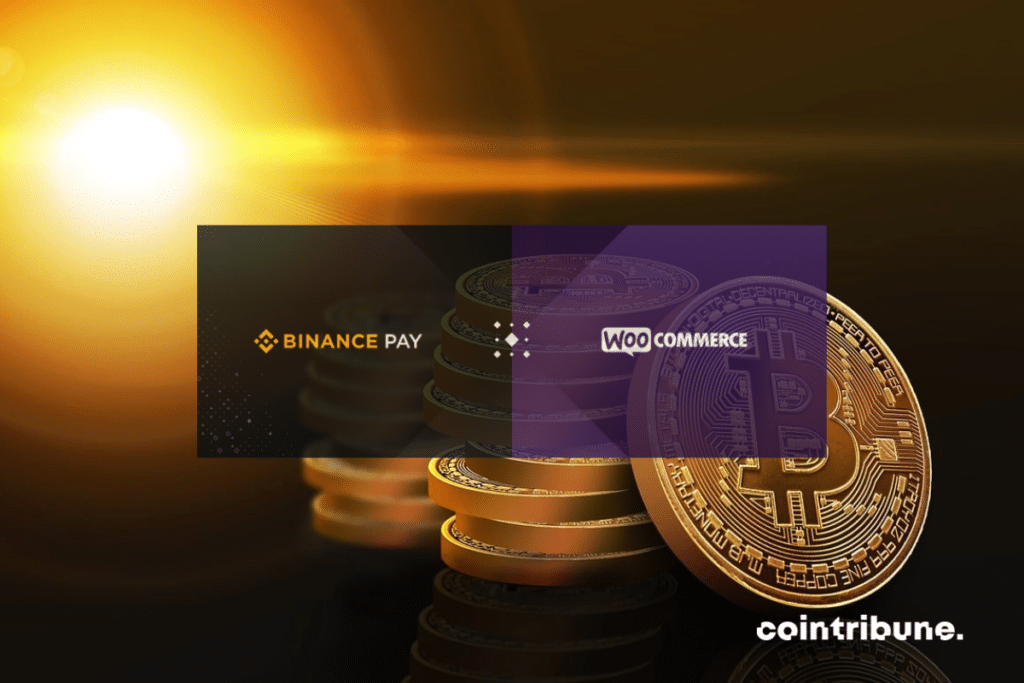 Illustration du rayons de soleil sur le bitcoin avec mention Binance Pay et WooCommerce