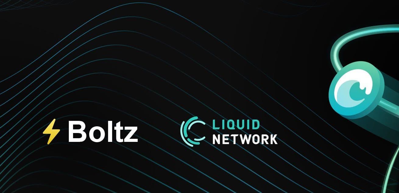 Boltz Liquid Network