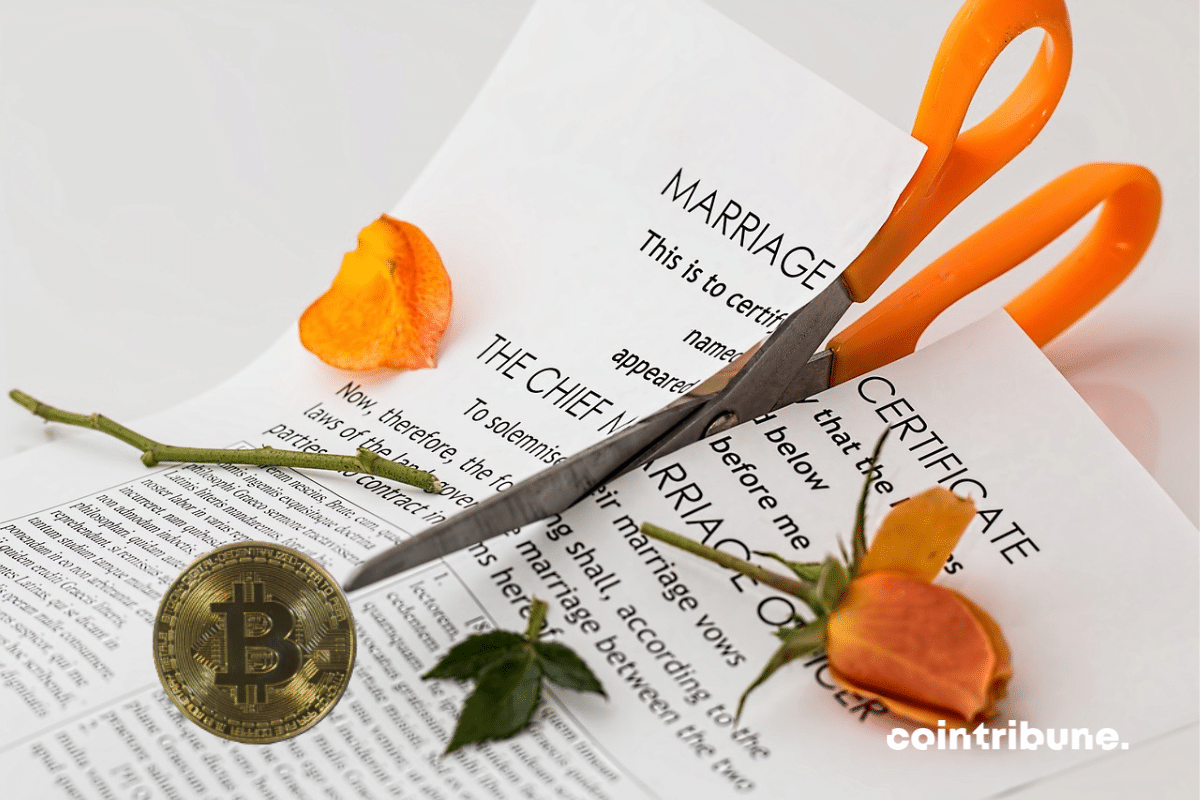 A pair of scissors cutting out a marriage certificate, a rose stem and a bitcoin coin to symbolize divorce, crypto
