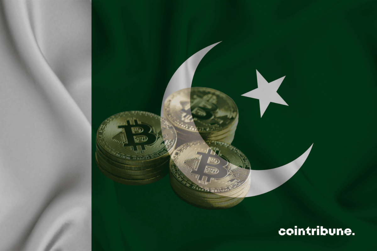 Le drapeau du Pakistan avec des piles de cryptos