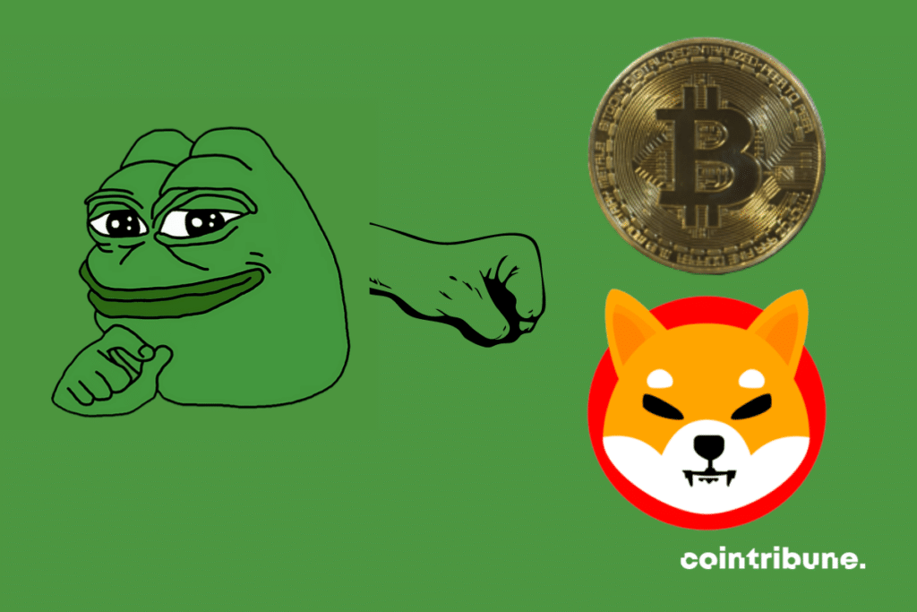 Pepecoin, Bitcoin and Shiba Inu logos