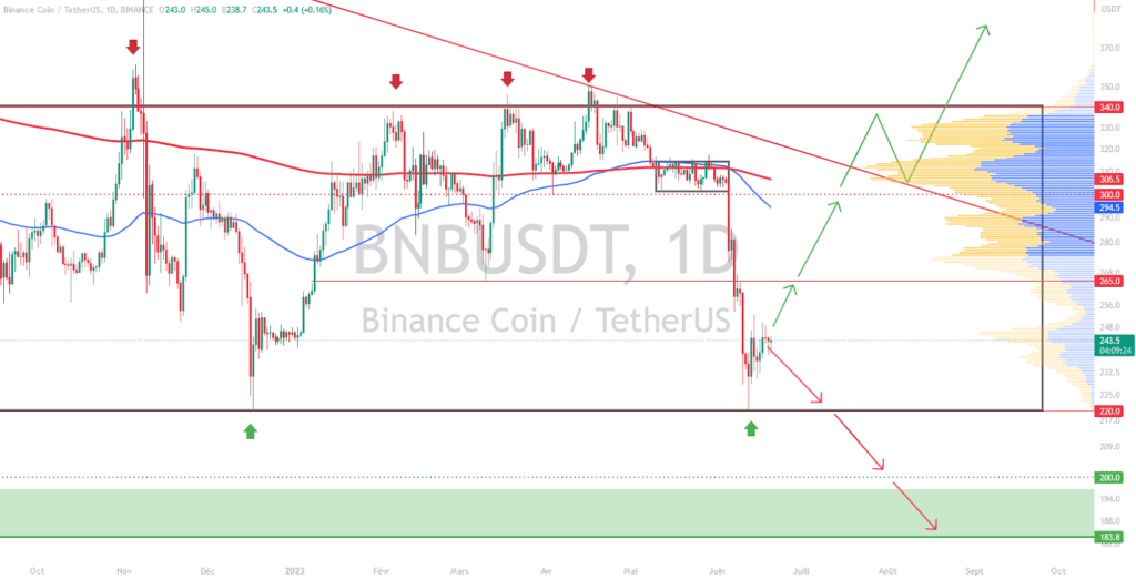 BNB-USDT-1D