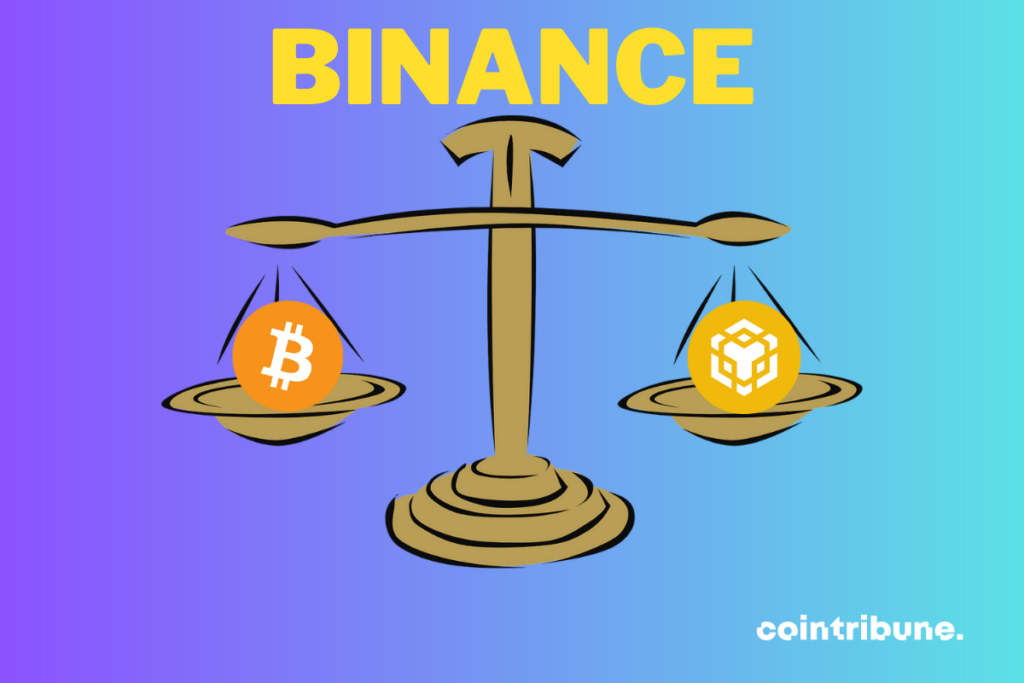 balance avec logos de Bitcoin et BNB, et mention BINANCE
