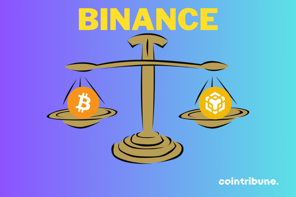 balance avec logos de Bitcoin et BNB, et mention BINANCE