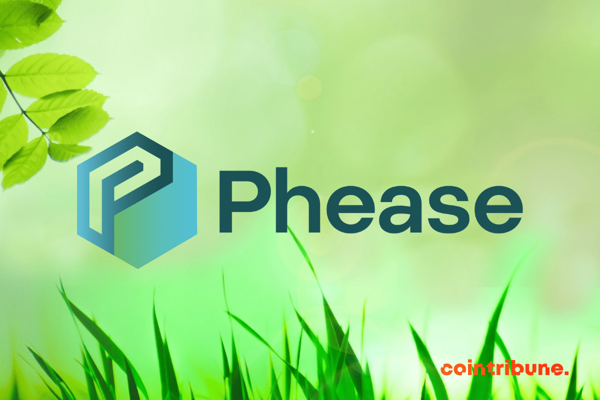 logo de phease qui lance son outil de scan de wallet et de compensation carbon